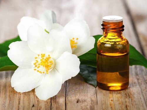 Tingkatkan Produktivitas WFH dengan Aroma Ruangan