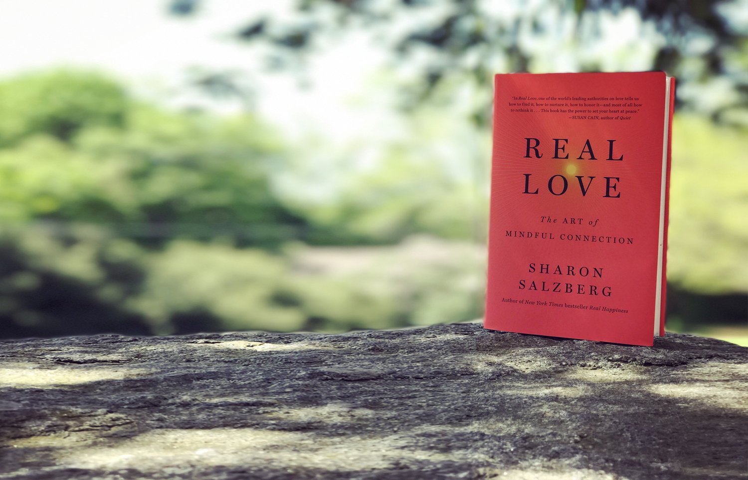Memahami Cinta Sejati dalam 'Real Love' oleh Sharon Salzberg