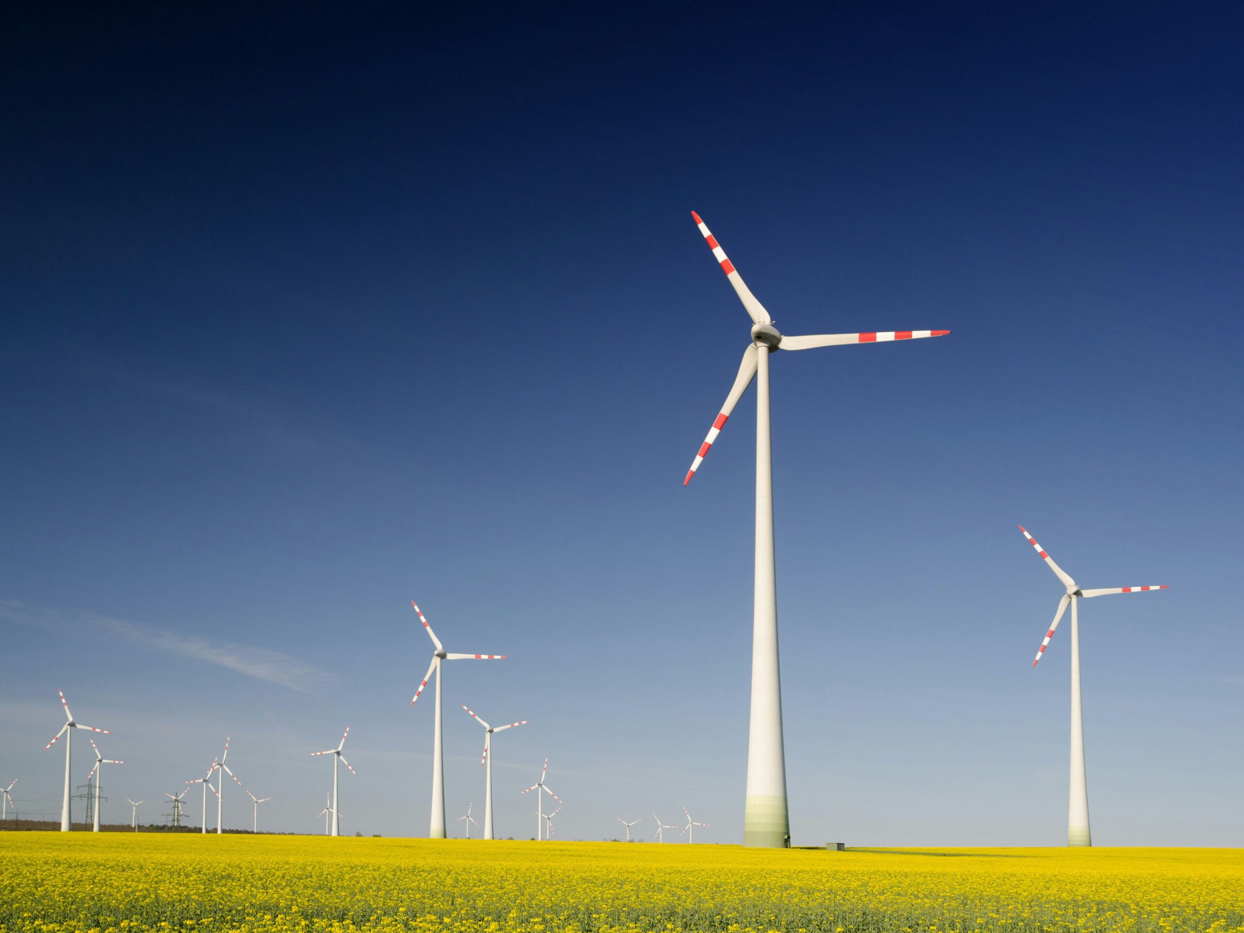 How Brands and Public Relations Agencies Can Talk About Sustainability