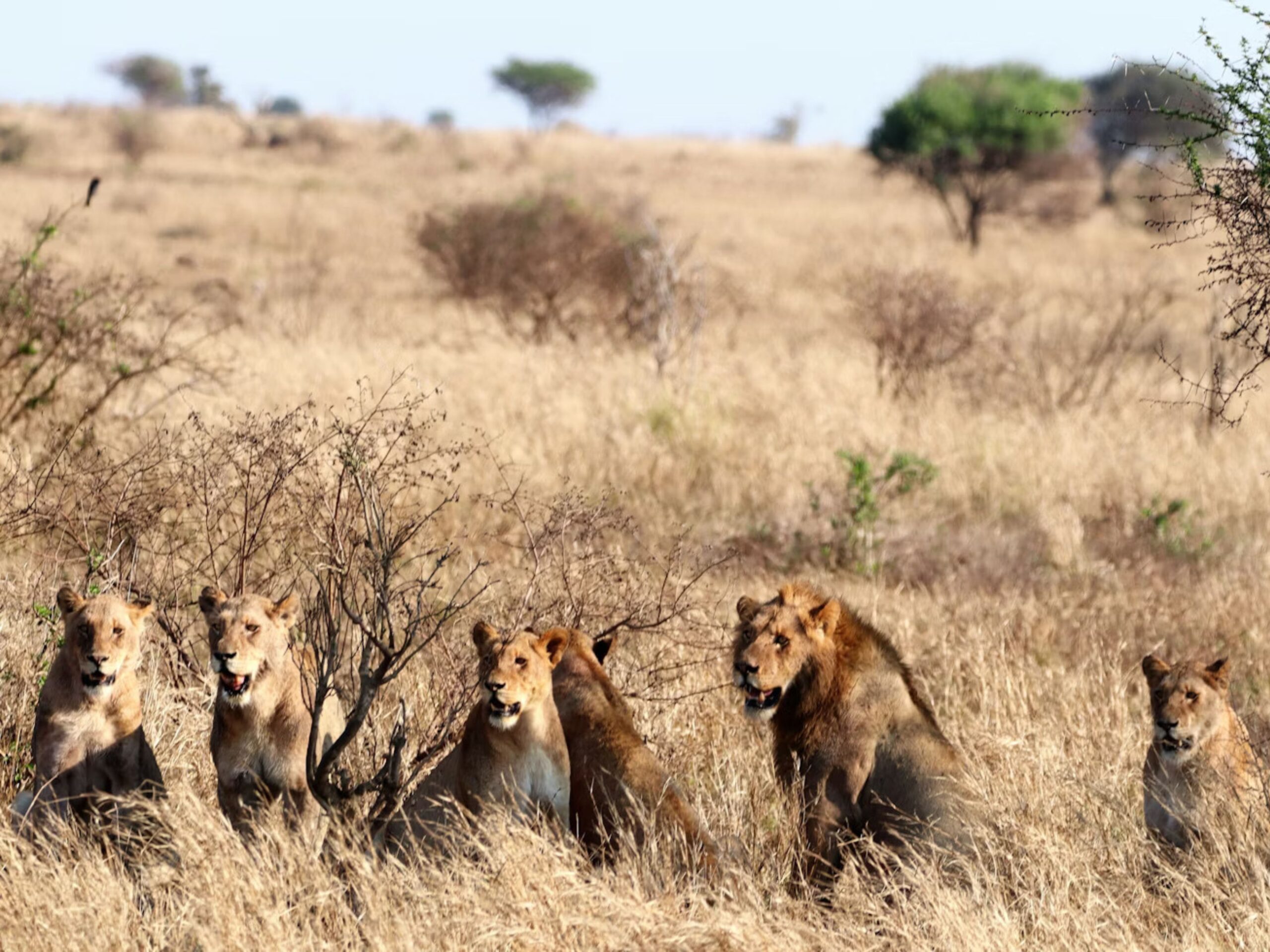 A Handy Guide to Briefing a Spokesperson Before Your Next PR Event