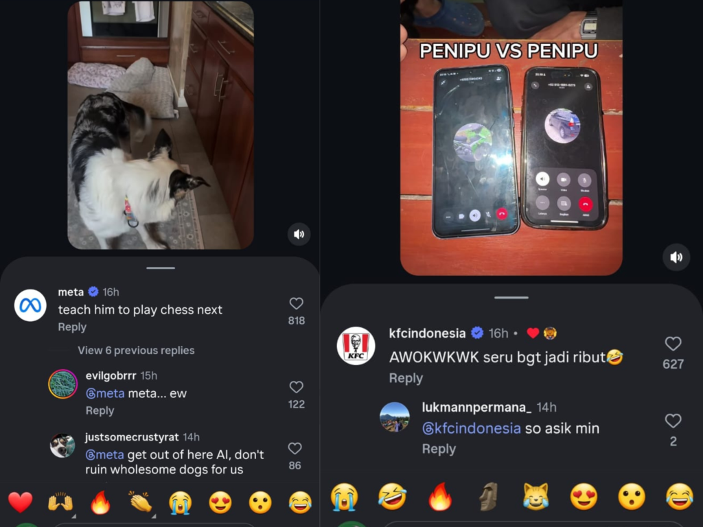 social media marketing dogpile